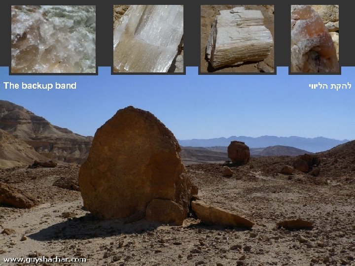 The backup band להקת הליווי 