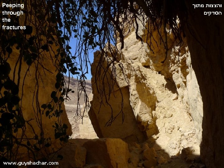 Peeping through the fractures והצצות מתוך הסדקים 