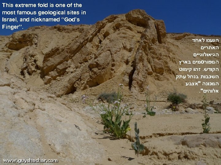  This extreme fold is one of the most famous geological sites in Israel,