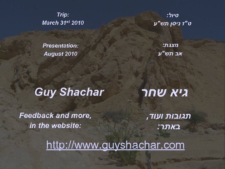 Trip: March 31 st 2010 Presentation: August 2010 Guy Shachar Feedback and more, in