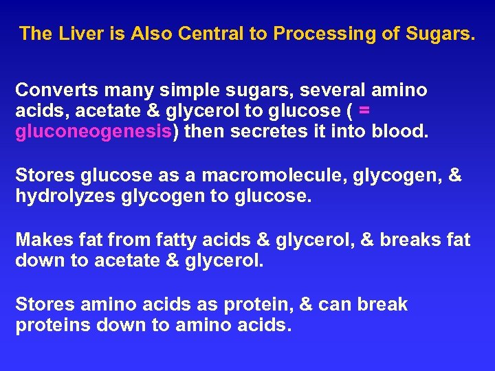 The Liver is Also Central to Processing of Sugars. Converts many simple sugars, several
