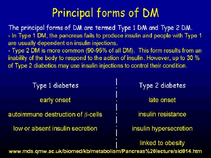 www. mds. qmw. ac. uk/biomed/kb/metabolism/Pancreas%20 lecture/sld 014. htm 