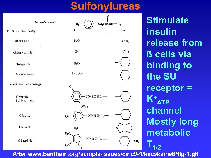 Sulfonylureas Stimulate insulin release from ß cells via binding to the SU receptor =