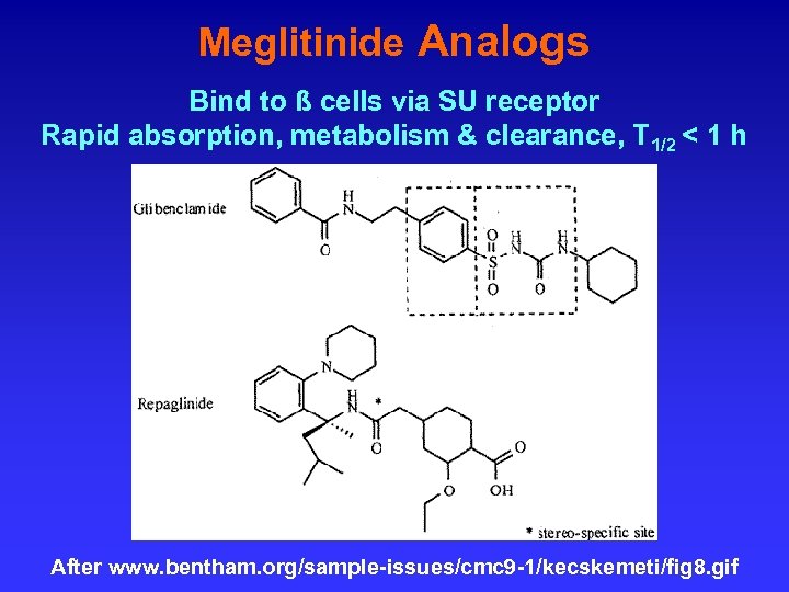 Meglitinide Analogs Bind to ß cells via SU receptor Rapid absorption, metabolism & clearance,