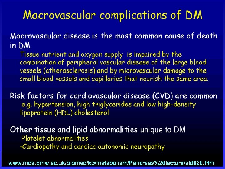 www. mds. qmw. ac. uk/biomed/kb/metabolism/Pancreas%20 lecture/sld 020. htm 