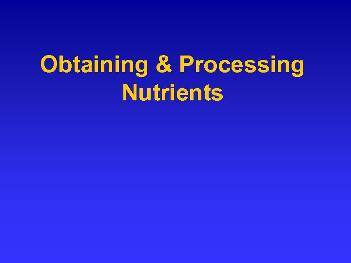 Obtaining & Processing Nutrients 