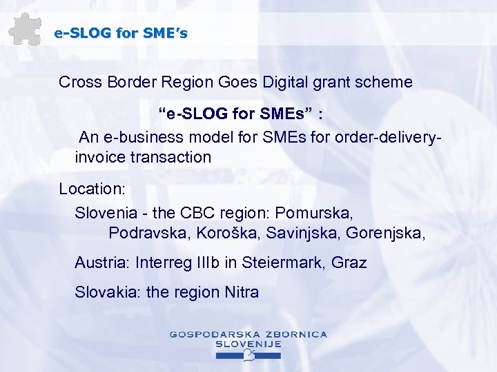 e-SLOG for SME’s Cross Border Region Goes Digital grant scheme “e-SLOG for SMEs” :