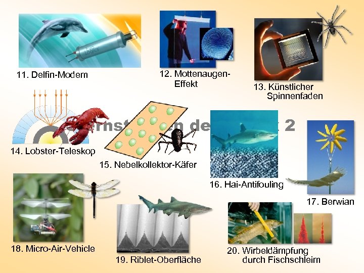 11. Delfin-Modem 12. Mottenaugen. Effekt 13. Künstlicher Spinnenfaden Sternstunden der Bionik 2 14. Lobster-Teleskop