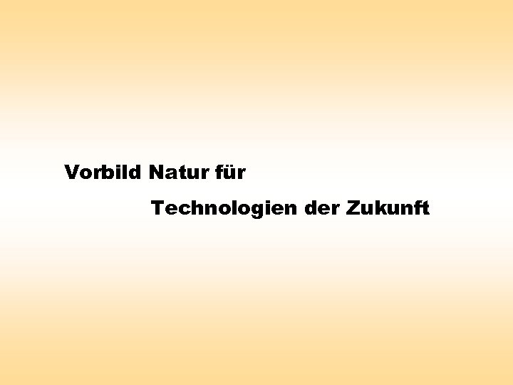 Vorbild Natur für Technologien der Zukunft 