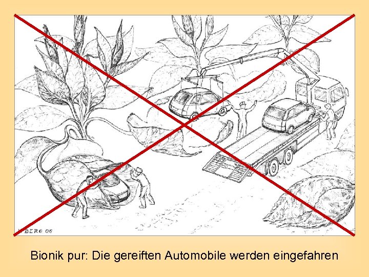 Bionik pur: Die gereiften Automobile werden eingefahren 