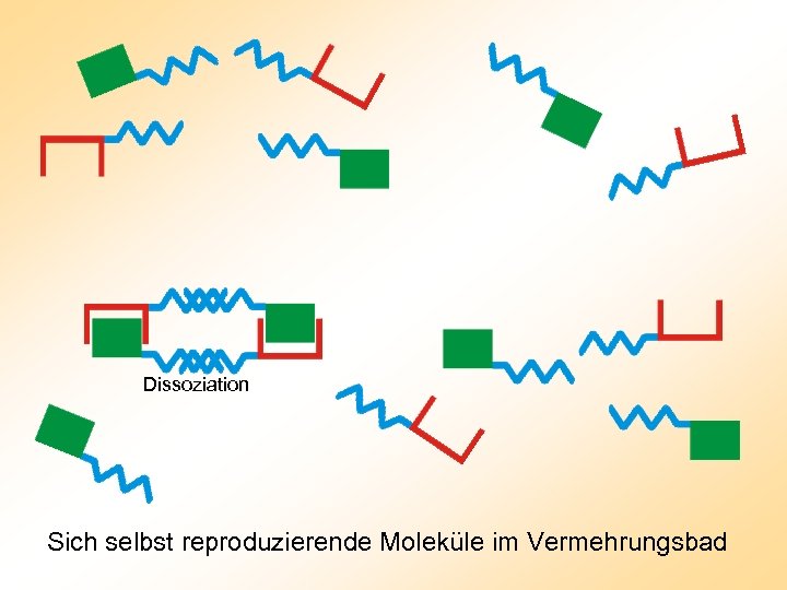 Dissoziation Sich selbst reproduzierende Moleküle im Vermehrungsbad 