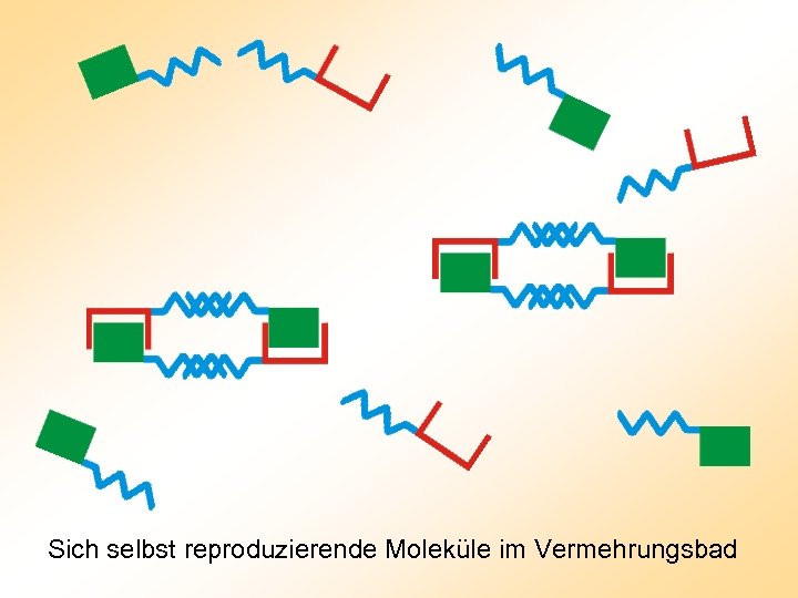 Sich selbst reproduzierende Moleküle im Vermehrungsbad 