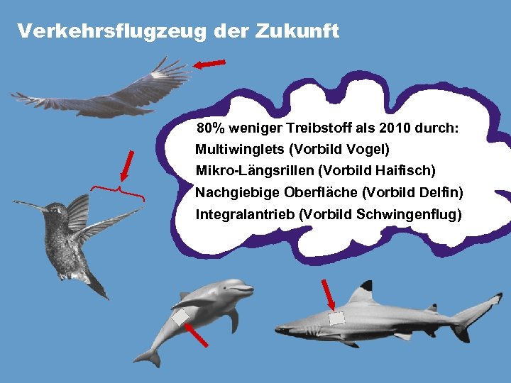 Verkehrsflugzeug der Zukunft 80% weniger Treibstoff als 2010 durch: Multiwinglets (Vorbild Vogel) Mikro-Längsrillen (Vorbild