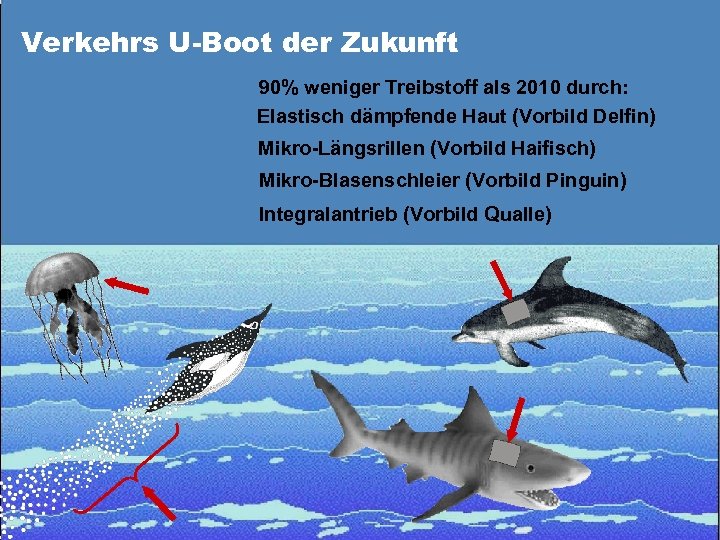 Verkehrs U-Boot der Zukunft 90% weniger Treibstoff als 2010 durch: Elastisch dämpfende Haut (Vorbild