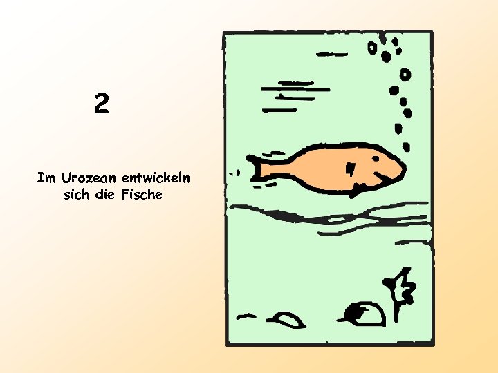 2 Im Urozean entwickeln sich die Fische 