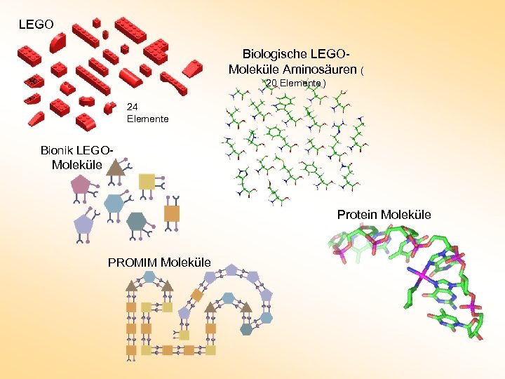 LEGO Biologische LEGOMoleküle Aminosäuren ( 20 Elemente ) 24 Elemente Bionik LEGO- Moleküle Protein