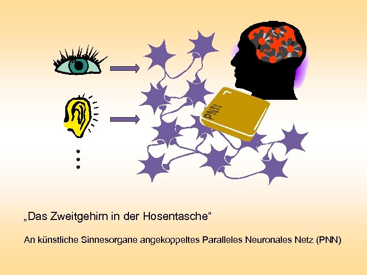 „Das Zweitgehirn in der Hosentasche“ An künstliche Sinnesorgane angekoppeltes Paralleles Neuronales Netz (PNN) 