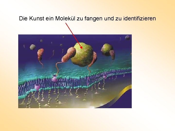 Die Kunst ein Molekül zu fangen und zu identifizieren 