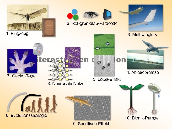 2. Rot-grün-blau-Farbcode 1. Flugzeug 3. Multiwinglets Sternstunden der Bionik 1 4. Ablösebremse 7. Gecko-Tape