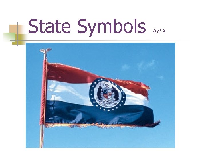 State Symbols 8 of 9 