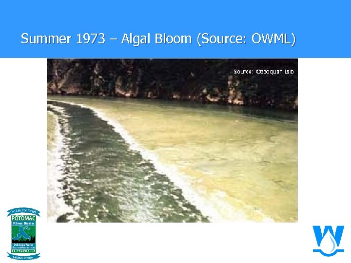 Summer 1973 – Algal Bloom (Source: OWML) 