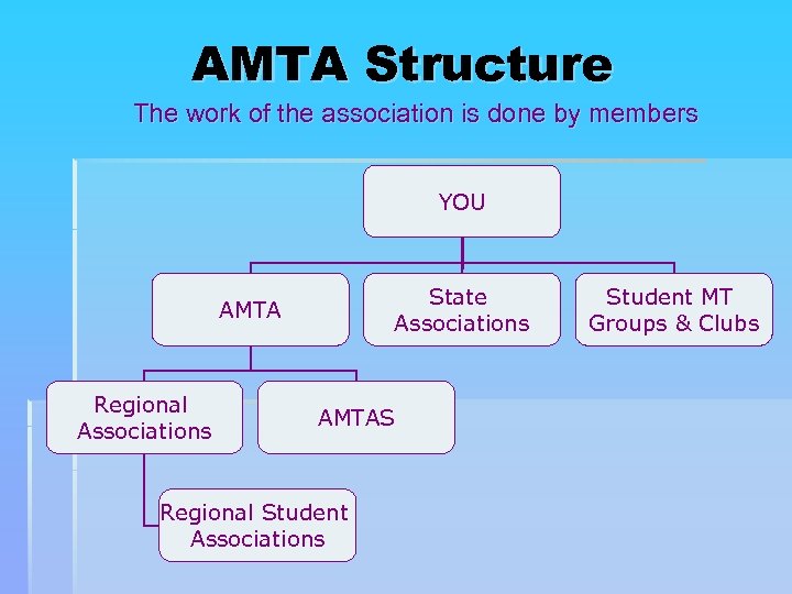 AMTA Structure The work of the association is done by members YOU State Associations