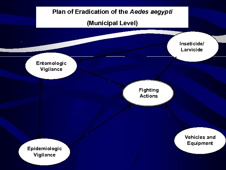 Plan of Eradication of the Aedes aegypti (Municipal Level) -. Inseticide/ Larvicide Entomologic Vigilance