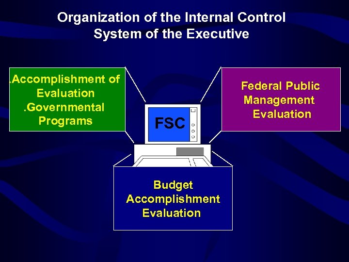 Organization of the Internal Control System of the Executive. Accomplishment of Evaluation. Governmental Programs