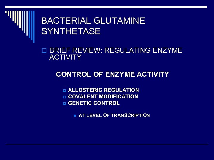 BACTERIAL GLUTAMINE SYNTHETASE o BRIEF REVIEW: REGULATING ENZYME ACTIVITY CONTROL OF ENZYME ACTIVITY p