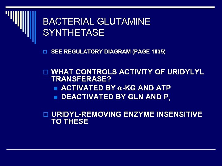 BACTERIAL GLUTAMINE SYNTHETASE o SEE REGULATORY DIAGRAM (PAGE 1035) o WHAT CONTROLS ACTIVITY OF