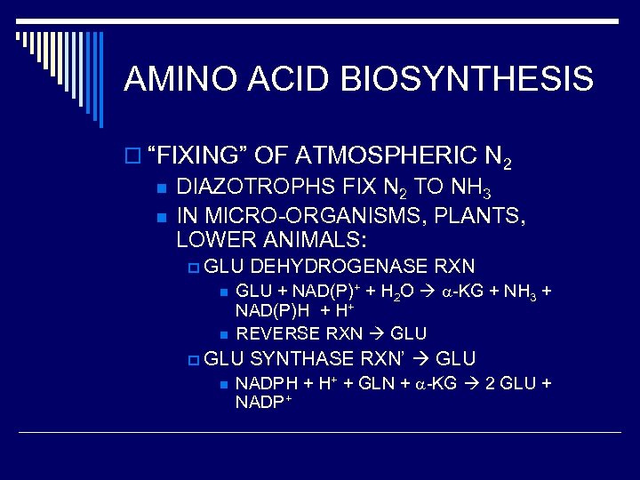 AMINO ACID BIOSYNTHESIS o “FIXING” OF ATMOSPHERIC N 2 n DIAZOTROPHS FIX N 2