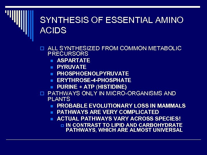 SYNTHESIS OF ESSENTIAL AMINO ACIDS o ALL SYNTHESIZED FROM COMMON METABOLIC PRECURSORS n n