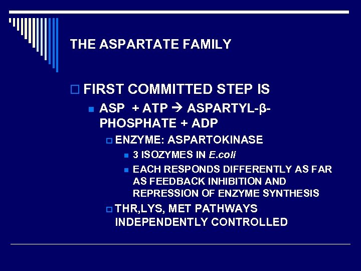 THE ASPARTATE FAMILY o FIRST COMMITTED STEP IS n ASP + ATP ASPARTYL-βPHOSPHATE +