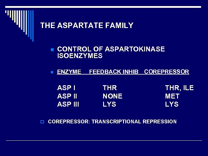 THE ASPARTATE FAMILY n CONTROL OF ASPARTOKINASE ISOENZYMES n ENZYME ASP III FEEDBACK INHIB