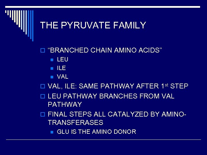 THE PYRUVATE FAMILY o “BRANCHED CHAIN AMINO ACIDS” n LEU n ILE n VAL