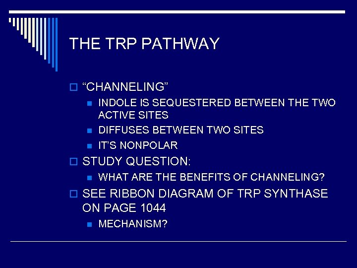 THE TRP PATHWAY o “CHANNELING” n INDOLE IS SEQUESTERED BETWEEN THE TWO ACTIVE SITES