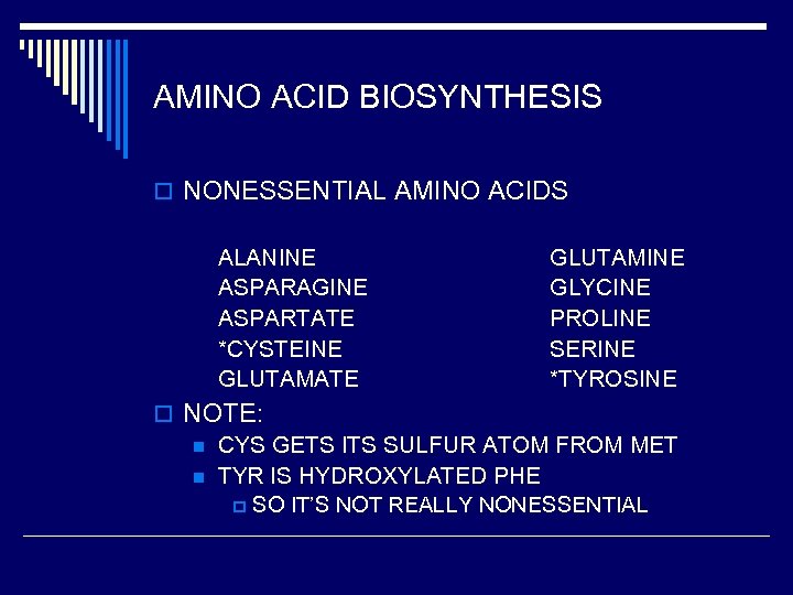 AMINO ACID BIOSYNTHESIS o NONESSENTIAL AMINO ACIDS ALANINE ASPARAGINE ASPARTATE *CYSTEINE GLUTAMATE GLUTAMINE GLYCINE