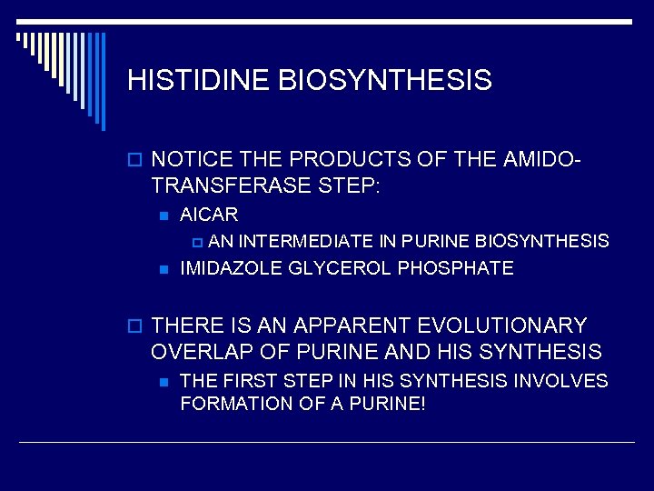 HISTIDINE BIOSYNTHESIS o NOTICE THE PRODUCTS OF THE AMIDO- TRANSFERASE STEP: n n AICAR