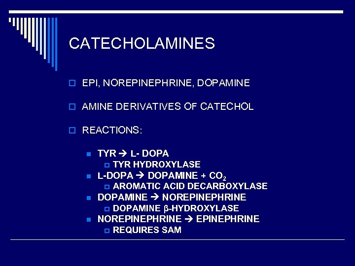 CATECHOLAMINES o EPI, NOREPINEPHRINE, DOPAMINE o AMINE DERIVATIVES OF CATECHOL o REACTIONS: n TYR