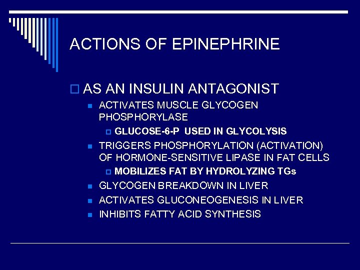 ACTIONS OF EPINEPHRINE o AS AN INSULIN ANTAGONIST n ACTIVATES MUSCLE GLYCOGEN PHOSPHORYLASE p