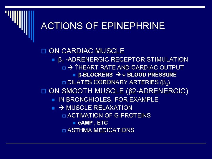 ACTIONS OF EPINEPHRINE o ON CARDIAC MUSCLE n β 1 -ADRENERGIC RECEPTOR STIMULATION p