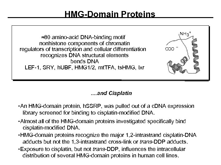 HMG-Domain Proteins ≈80 amino-acid DNA-binding motif nonhistone components of chromatin regulators of transcription and