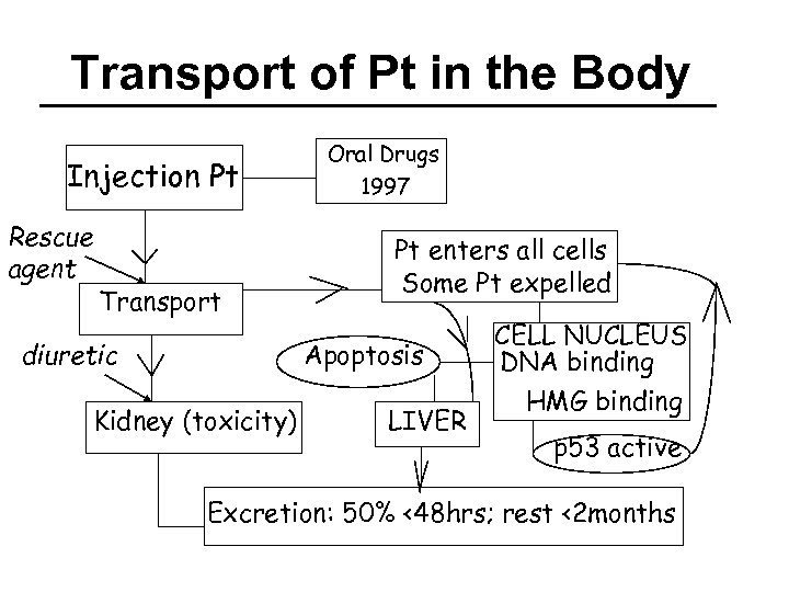 Transport of Pt in the Body Injection Pt Rescue agent Transport Oral Drugs 1997