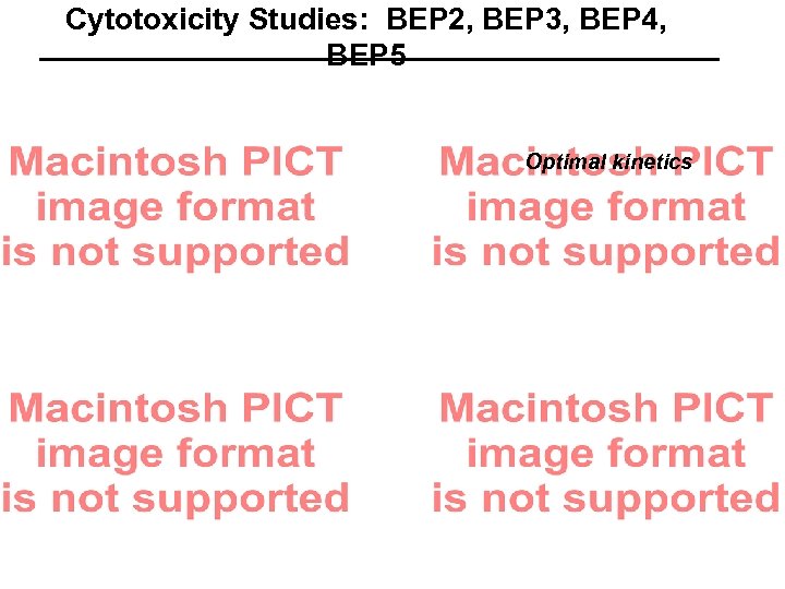 Cytotoxicity Studies: BEP 2, BEP 3, BEP 4, BEP 5 Optimal kinetics 