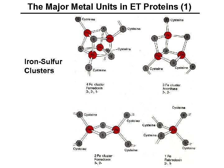 The Major Metal Units in ET Proteins (1) Iron-Sulfur Clusters 