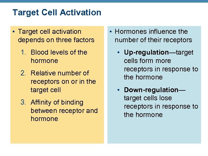 Target Cell Activation • Target cell activation depends on three factors 1. Blood levels