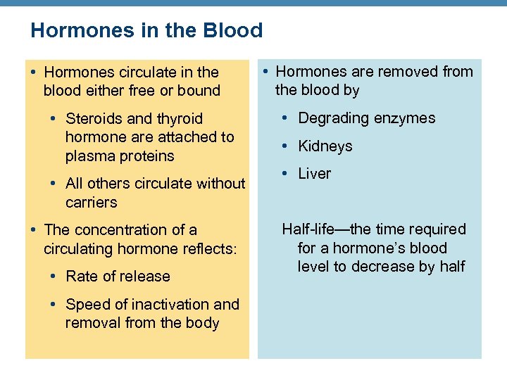 Hormones in the Blood • Hormones circulate in the blood either free or bound