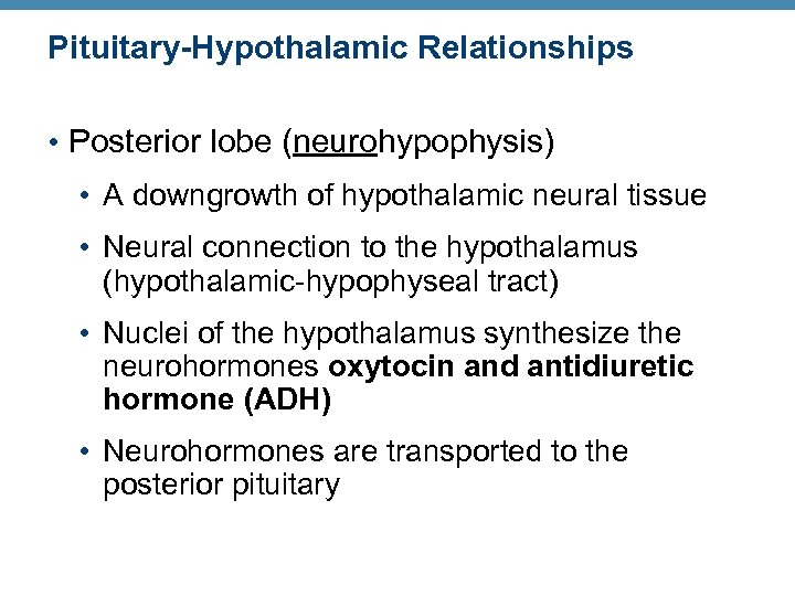 Pituitary-Hypothalamic Relationships • Posterior lobe (neurohypophysis) • A downgrowth of hypothalamic neural tissue •