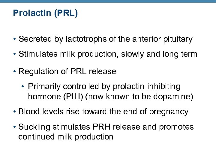 Prolactin (PRL) • Secreted by lactotrophs of the anterior pituitary • Stimulates milk production,