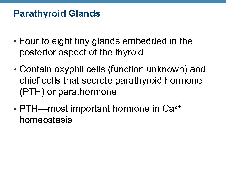 Parathyroid Glands • Four to eight tiny glands embedded in the posterior aspect of